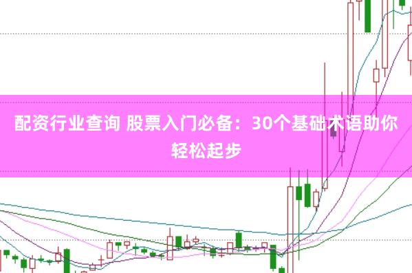 配资行业查询 股票入门必备：30个基础术语助你轻松起步