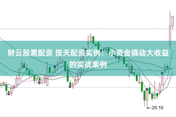 财云股票配资 按天配资实例：小资金撬动大收益的实战案例