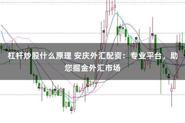 杠杆炒股什么原理 安庆外汇配资：专业平台，助您掘金外汇市场