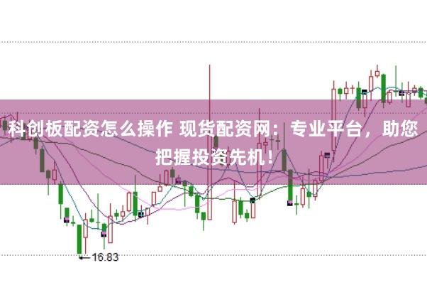 科创板配资怎么操作 现货配资网:专业平台,助您把握投资先机!