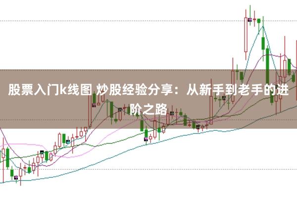 股票入门k线图 炒股经验分享：从新手到老手的进阶之路