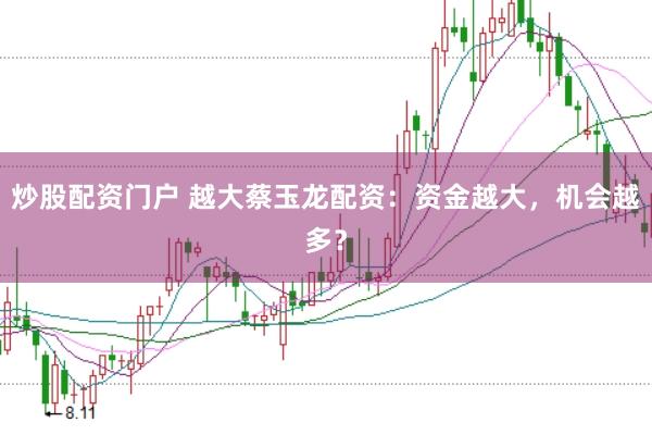 炒股配资门户 越大蔡玉龙配资：资金越大，机会越多？