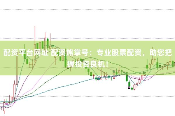 配资平台网址 配资熊掌号：专业股票配资，助您把握投资良机！