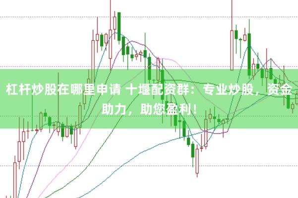 杠杆炒股在哪里申请 十堰配资群：专业炒股，资金助力，助您盈利！