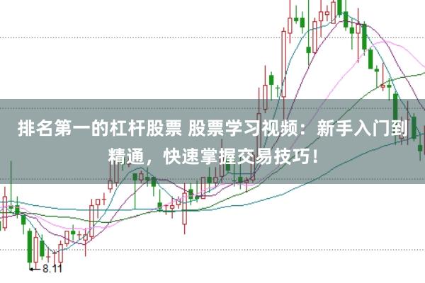 排名第一的杠杆股票 股票学习视频：新手入门到精通，快速掌握交易技巧！