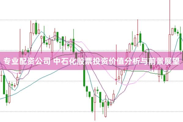 专业配资公司 中石化股票投资价值分析与前景展望