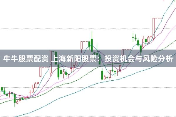 牛牛股票配资 上海新阳股票：投资机会与风险分析