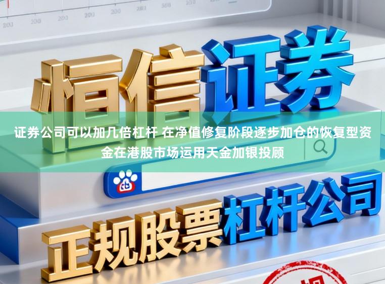 证券公司可以加几倍杠杆 在净值修复阶段逐步加仓的恢复型资金在港股市场运用天金加银投顾