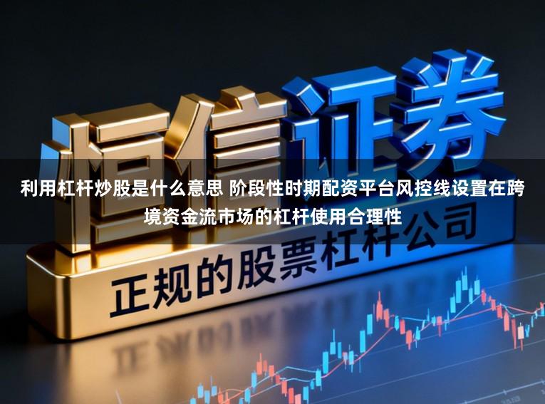 利用杠杆炒股是什么意思 阶段性时期配资平台风控线设置在跨境资金流市场的杠杆使用合理性