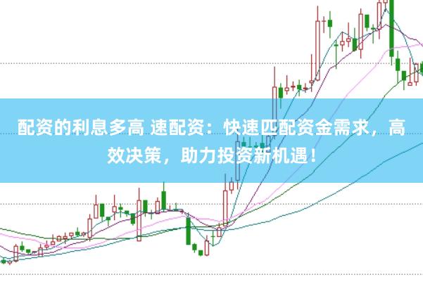 配资的利息多高 速配资：快速匹配资金需求，高效决策，助力投资新机遇！
