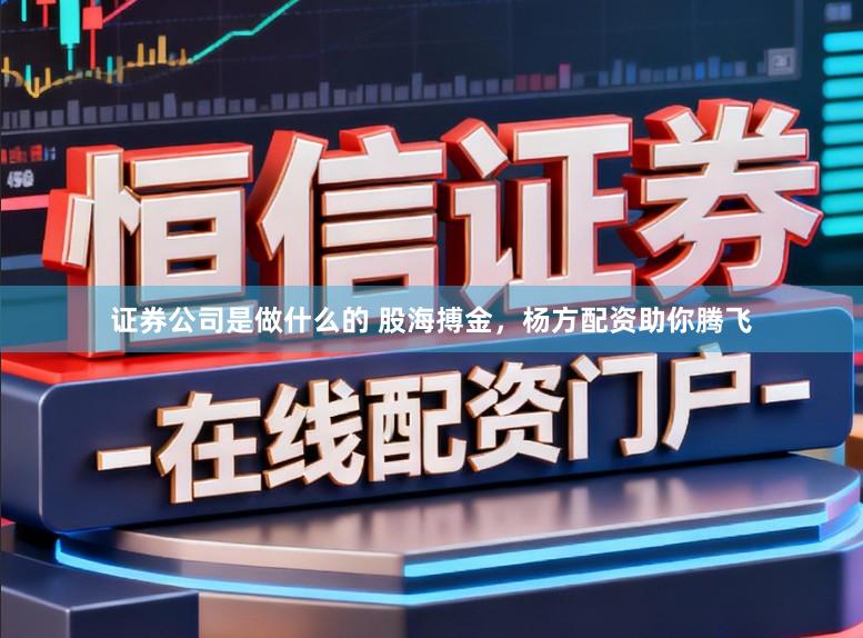 证券公司是做什么的 股海搏金，杨方配资助你腾飞